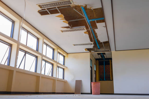 Best Carpet water damage restoration  in Fort Salonga, NY