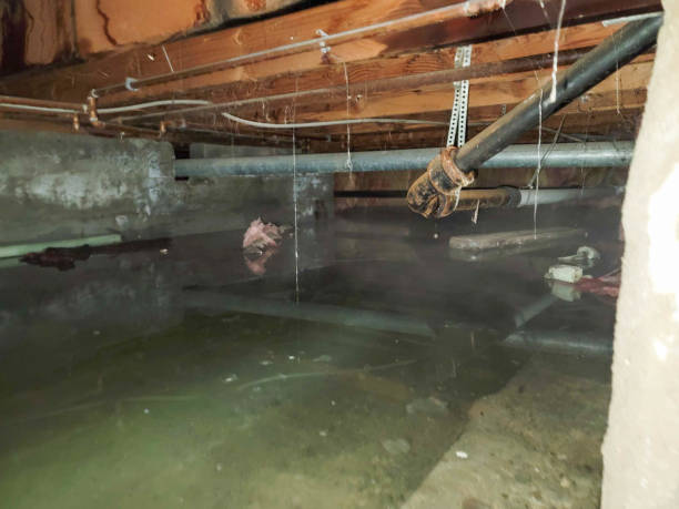 Best Flooded house restoration  in Fort Salonga, NY