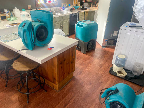 Best Professional water damage repair  in Fort Salonga, NY