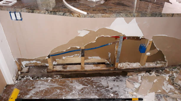 Best Water damage cleanup near me  in Fort Salonga, NY