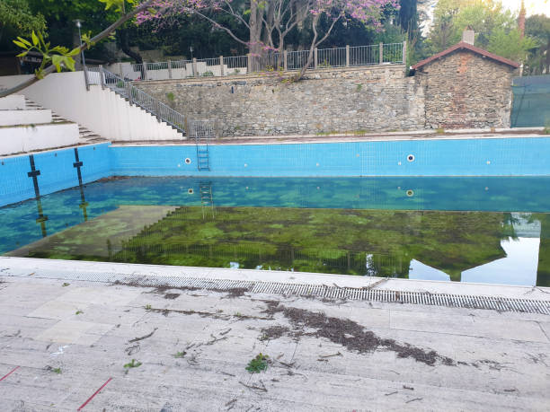 Best Flood restoration services  in Fort Salonga, NY