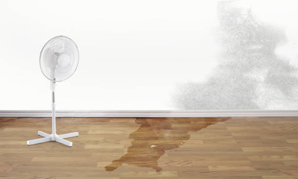 Best Residential water damage restoration  in Fort Salonga, NY