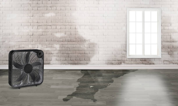 Best Emergency water damage restoration  in Fort Salonga, NY