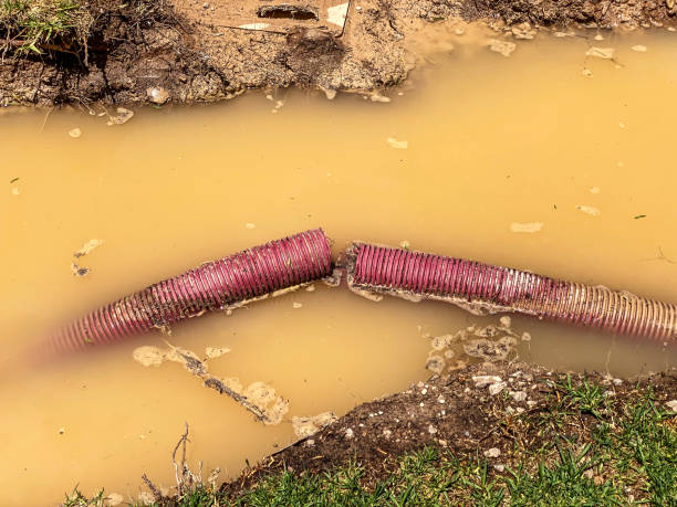 Best Flood damage cleanup  in Fort Salonga, NY