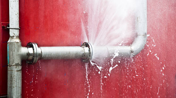 Best Sewage cleanup and water damage restoration  in Fort Salonga, NY